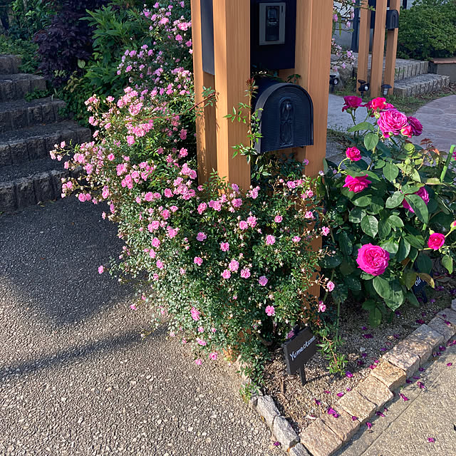 mamiさんの部屋