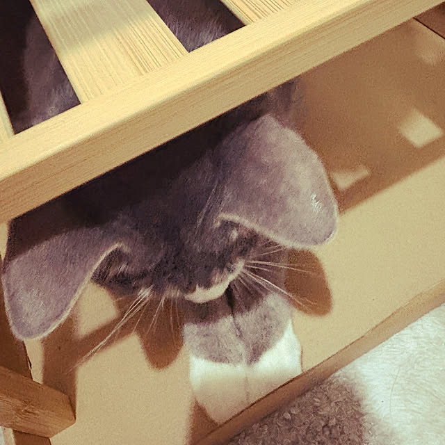 rikaさんの部屋
