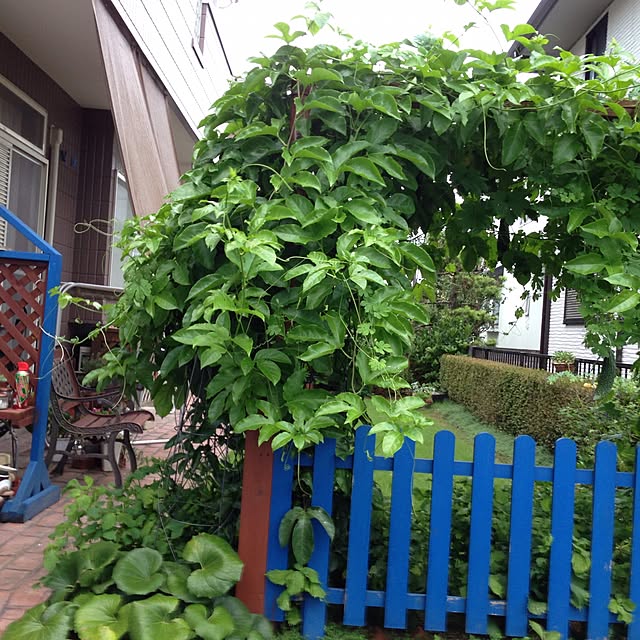 kokko3さんの実例写真