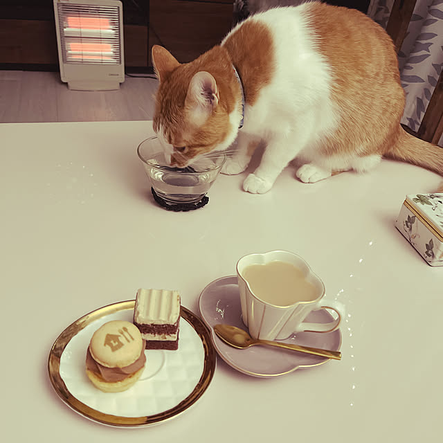 uutann320mozukuさんの実例写真