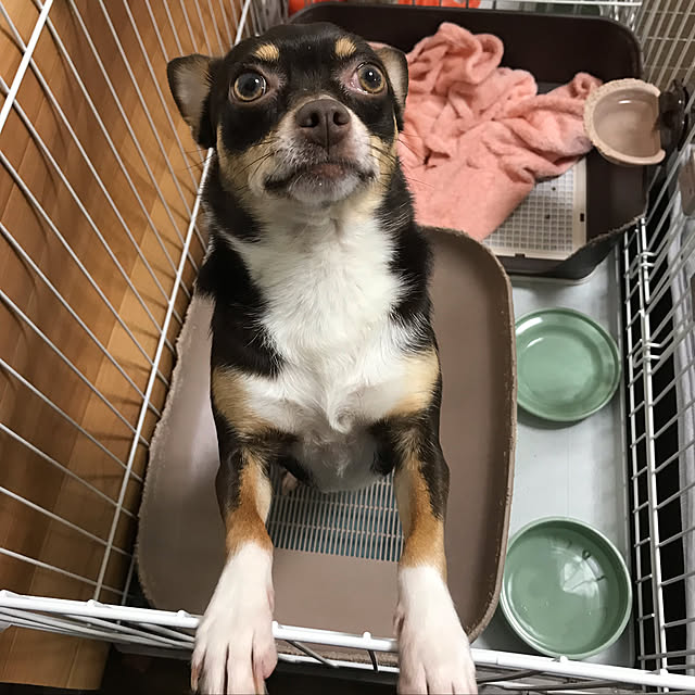 nacchintunnさんの実例写真