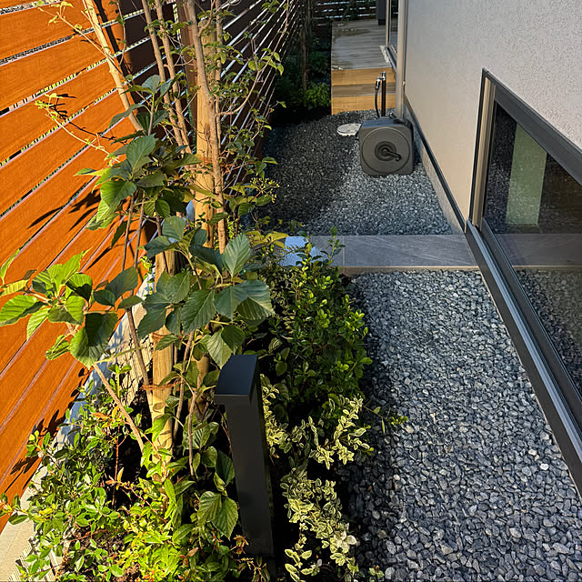 Minaさんの部屋