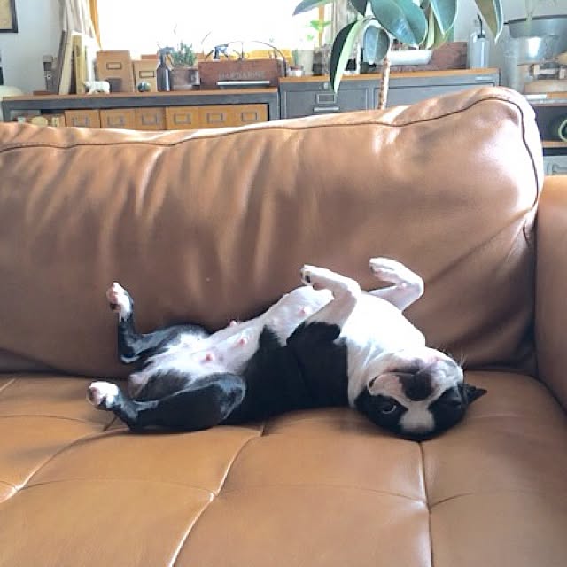 yumiさんの実例写真