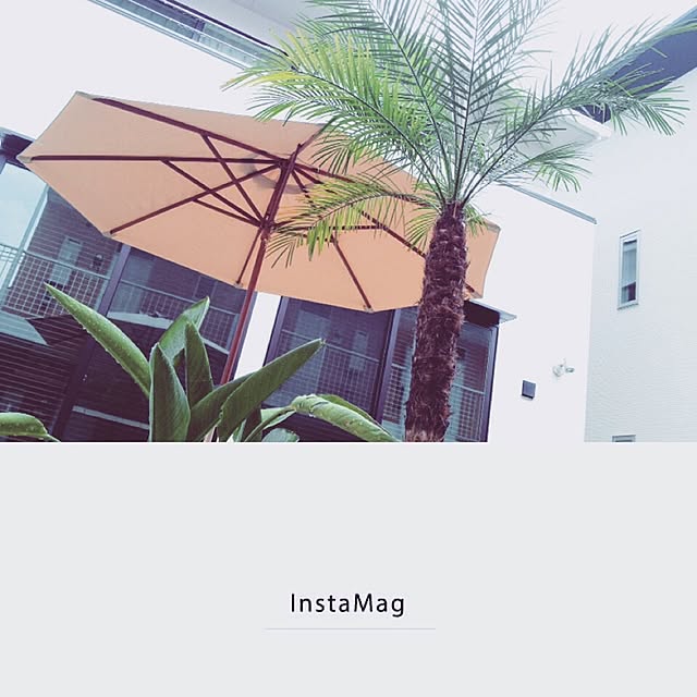 harusoraさんの実例写真