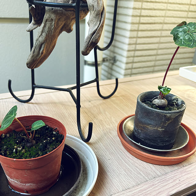 happy-sachiさんの部屋