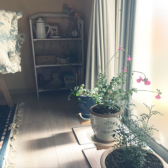 naonaoさんの実例写真