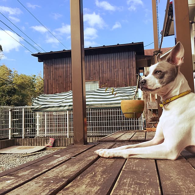pua35さんの実例写真