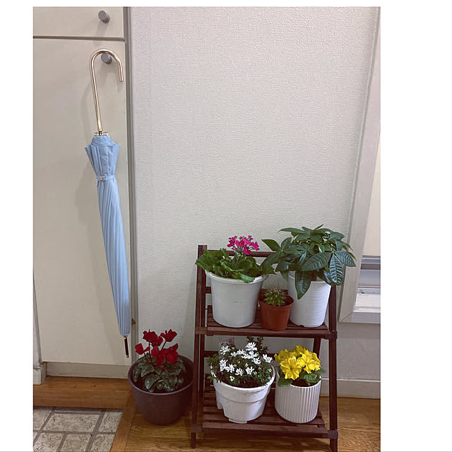 sakuramiffyさんの実例写真