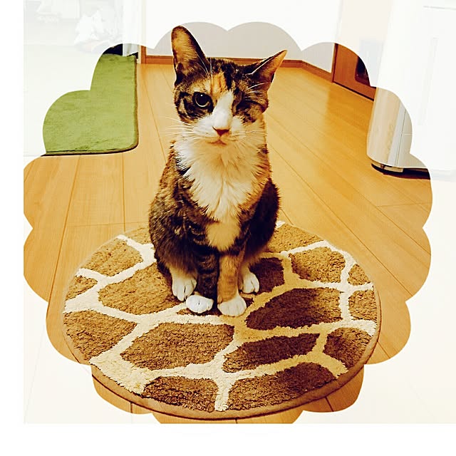 mofukoさんの実例写真