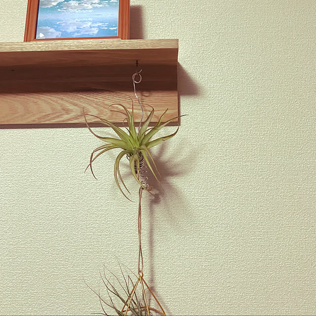 sasayuuさんの実例写真