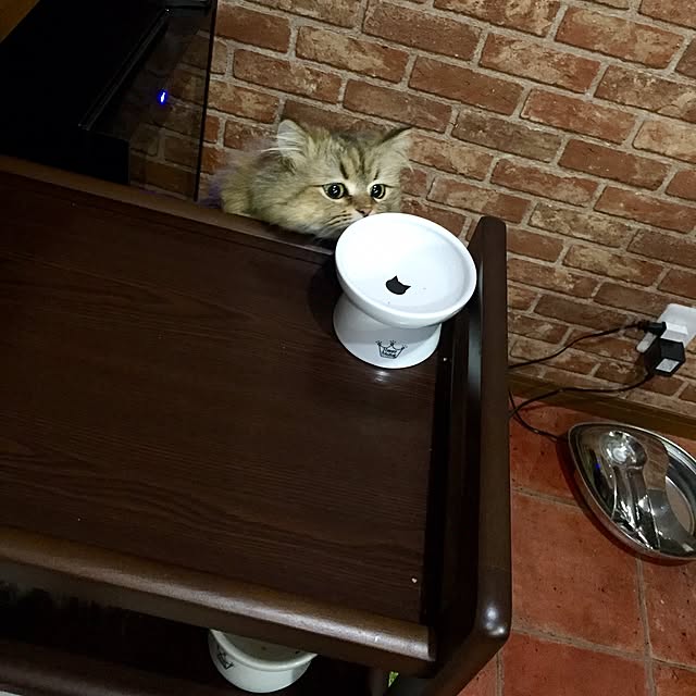 butachanさんの実例写真