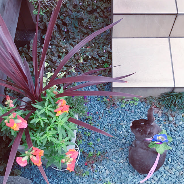 portulacaさんの実例写真