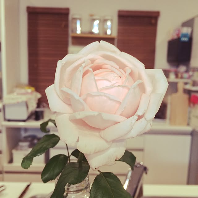 fourさんの実例写真