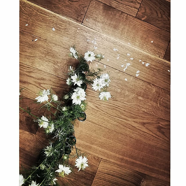 raujikaさんの実例写真