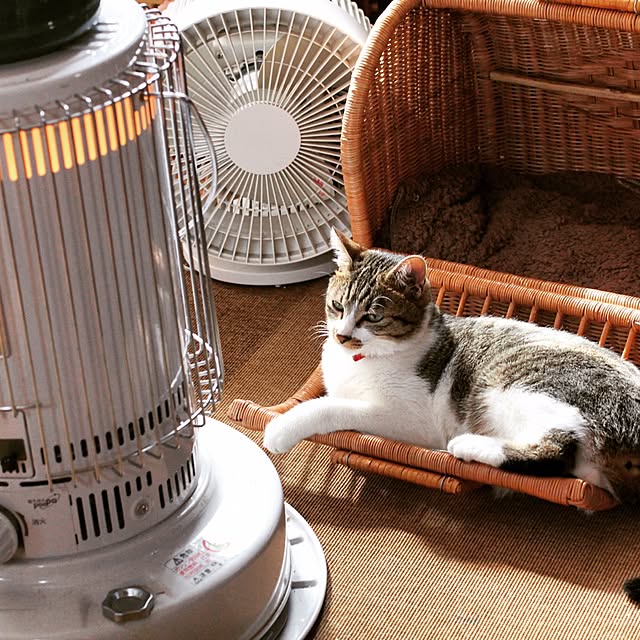 Kanakoさんの実例写真