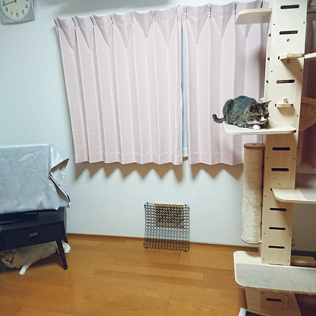 nachiさんの実例写真