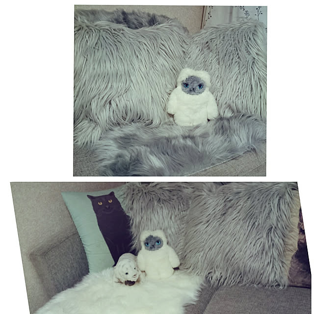 rokudenashiさんの実例写真