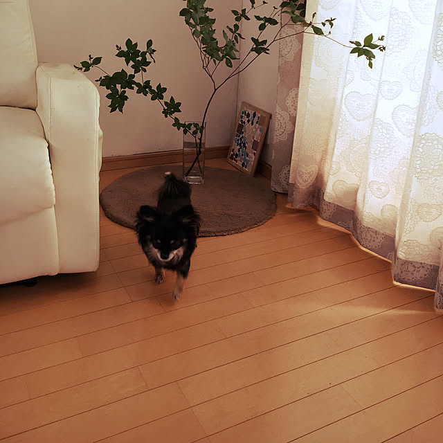 cocoさんの実例写真
