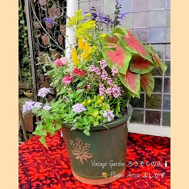ElegantiqueFlowerさんの部屋