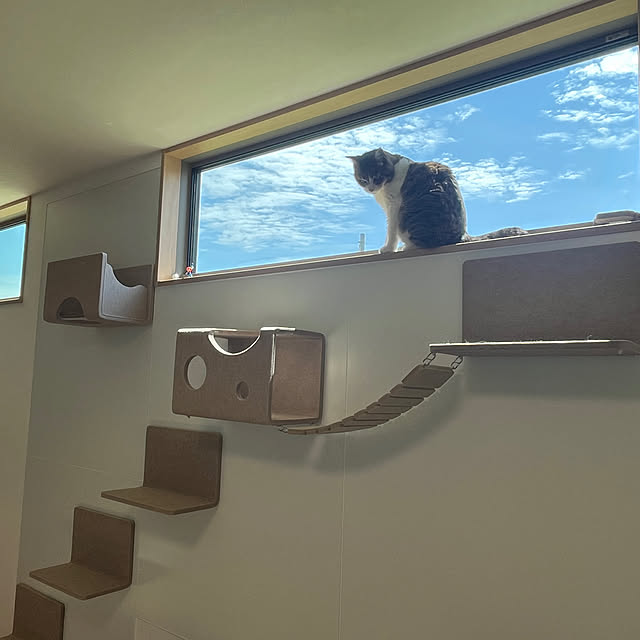 tiroさんの部屋