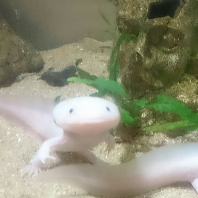 tonderuさんの実例写真