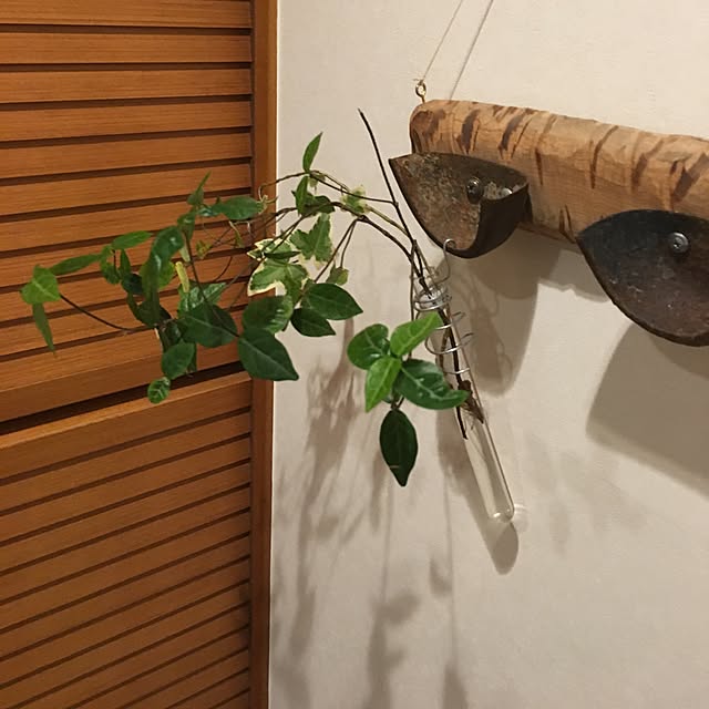 キッチンのインテリア実例 - 2017-07-05 21:21:51