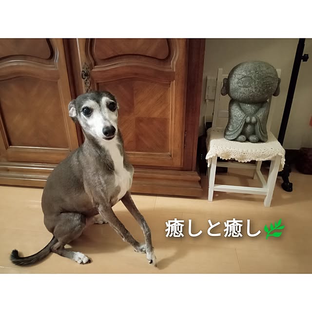 moruさんの部屋