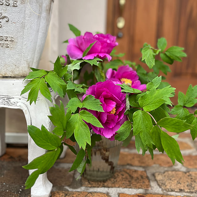 sakuraさんの部屋