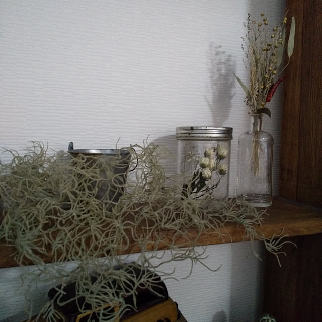 micaさんの実例写真