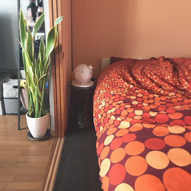 Kさんの実例写真