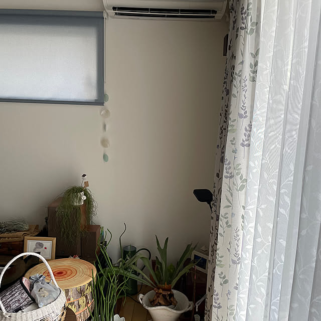 Umichanさんの部屋