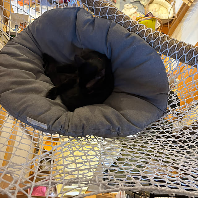 niko.mamさんの実例写真