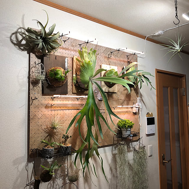 CoffeeHouseさんの実例写真
