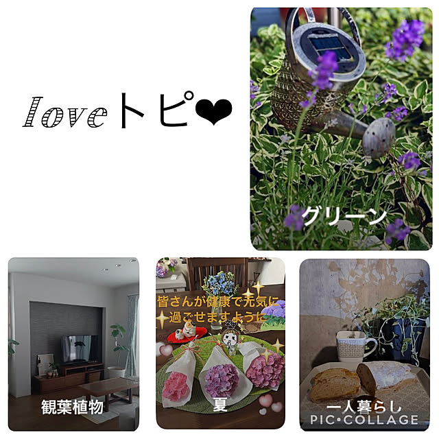 CoCo0617さんの実例写真