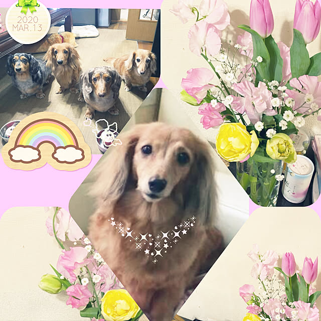 pamyureさんの実例写真