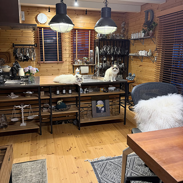 puffloveさんの部屋