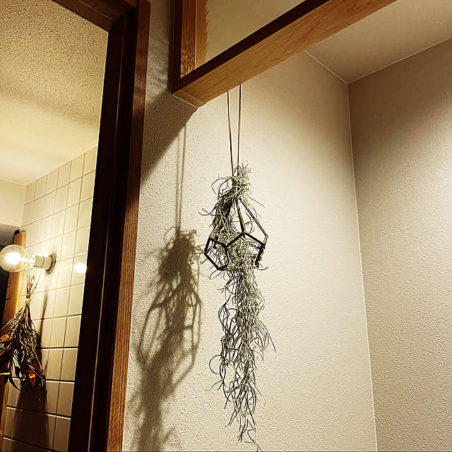 KOTORAさんの実例写真