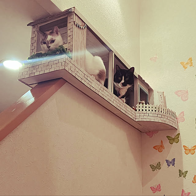 POMERUNさんの実例写真