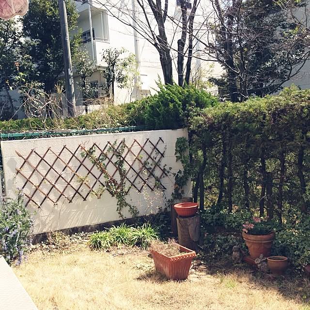 bamuさんの実例写真