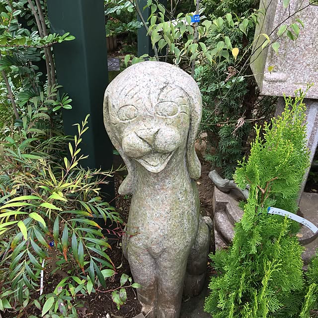 yuchiさんの実例写真