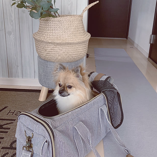 mimiさんの実例写真