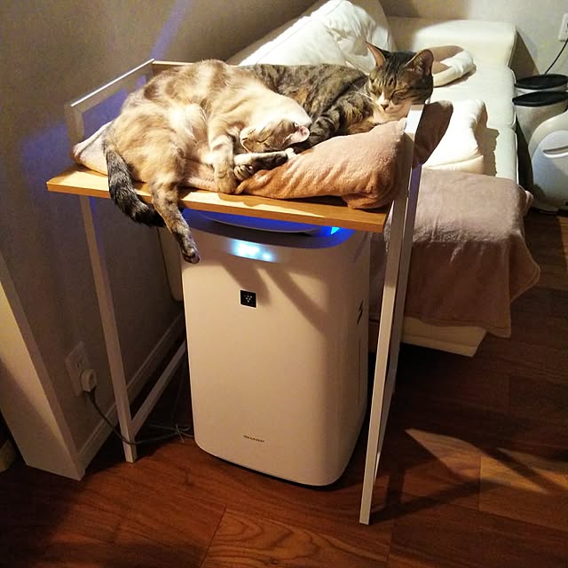 moonさんの実例写真