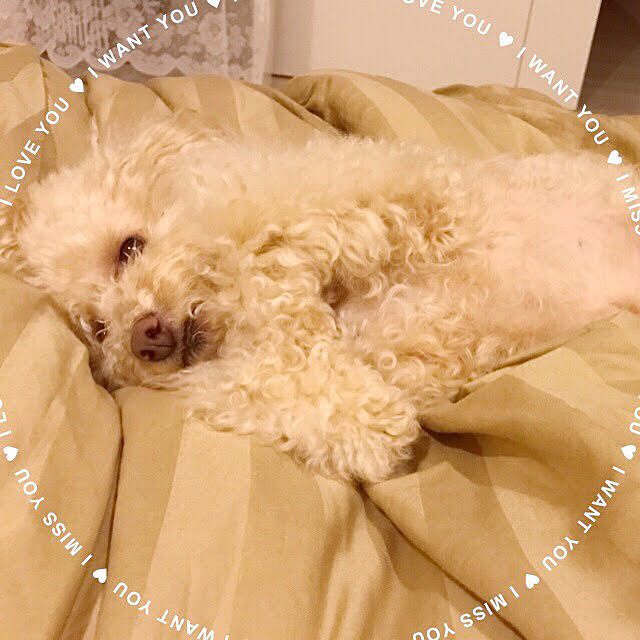 Rinさんの実例写真