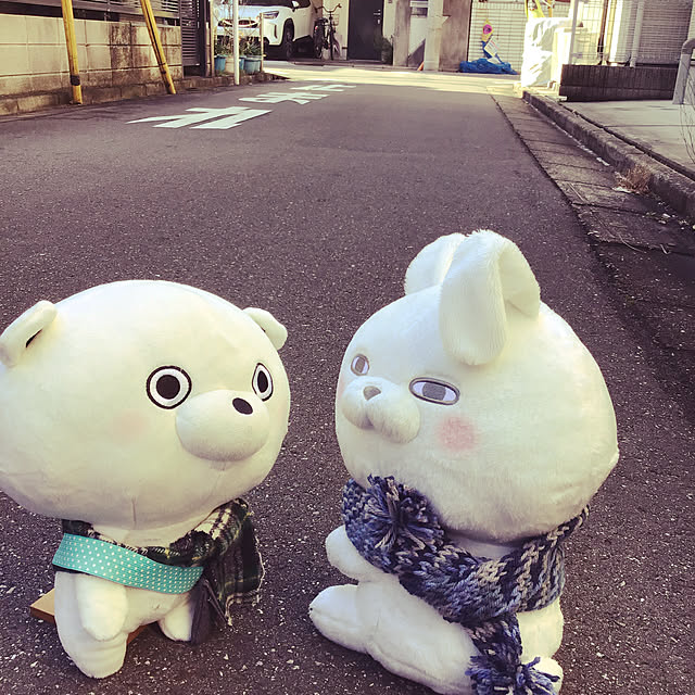 nitakaiikumiさんの実例写真