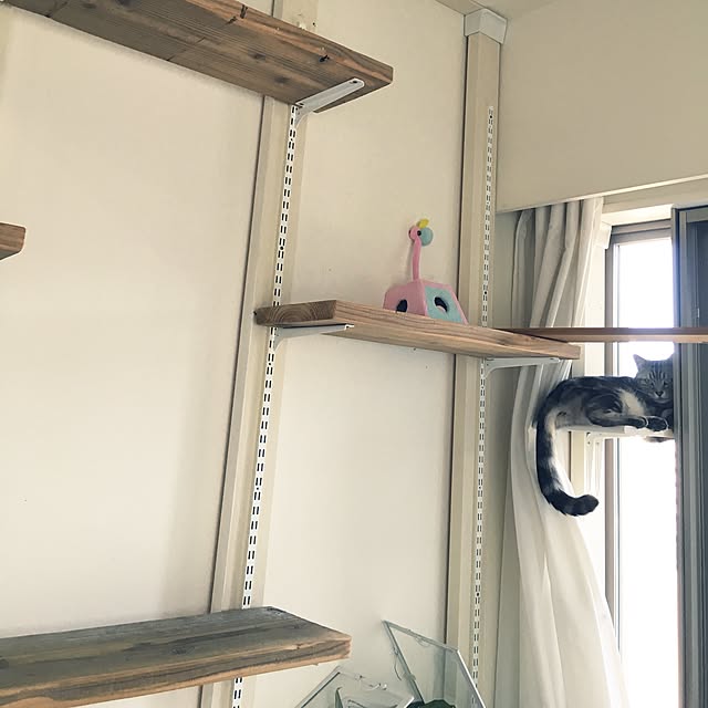 mikomaruさんの実例写真