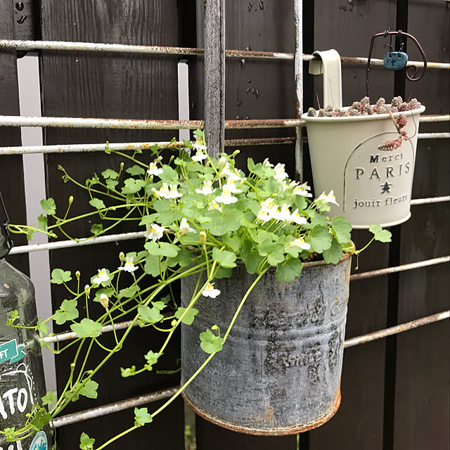 kokko3さんの実例写真