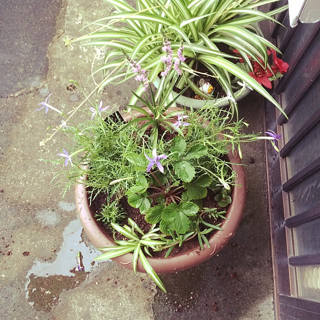 Makiさんの実例写真