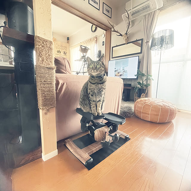 Mさんの実例写真