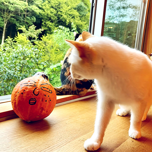 sakurasakuさんの実例写真