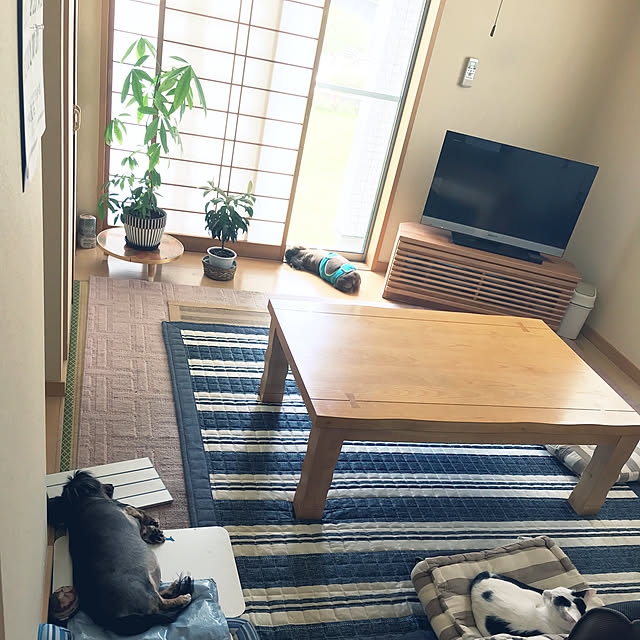 yumitakaさんの実例写真